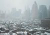 Nueva York despierta teñida de blanco: llega la primera nevada de la temporada