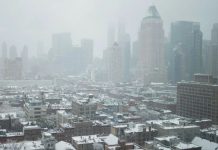 Nueva York despierta teñida de blanco: llega la primera nevada de la temporada