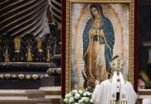 Papa pide a la Virgen de Guadalupe librar del crimen y adicciones a los jóvenes