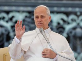 Papa León XIV recuerda un 2025 marcado por la guerra y la muerte del “añorado” Francisco