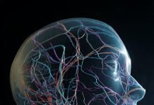 Somos Nuestra Memoria. Abandonar el modelo biomédico en salud mental, legisladores ¡pónganse a trabajar!