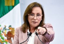 Nahle descalifica libro de Scherer sin leerlo