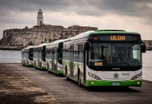 LOS AUTOBUSES CHINOS Y LA MALINCHE REBORUJADA DEL ISLOTE