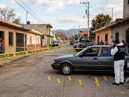 Somos Nuestra Memoria. Silencio en las aulas: cuando la omisión se convierte en masacre