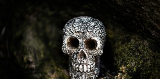 Geografía social de la violencia de México