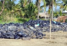 Marina confirma que hallazgo de bolsas en Pajapan contenían sargazo