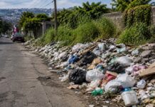 Xalapa: capital de la basura y la maleza