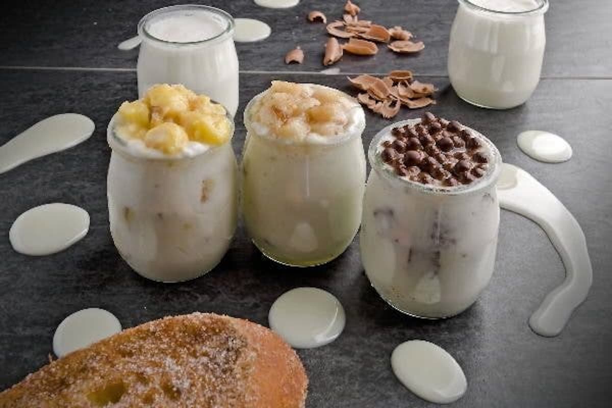 Yougurt Probioticos