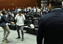 ZENYAZEN: LA NORMALIZACIÓN DE LA TRAGEDIA
