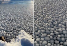 Formas esféricas de hielo cubren laguna en Argentina (VIDEO)
