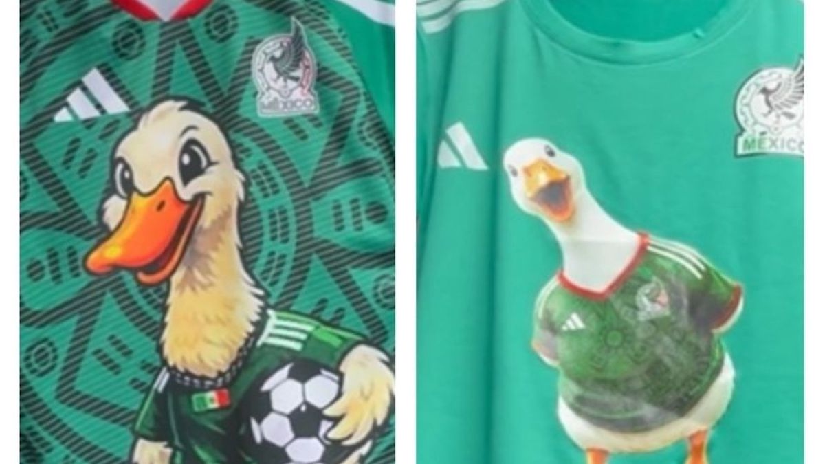 Pato Merlín Selección