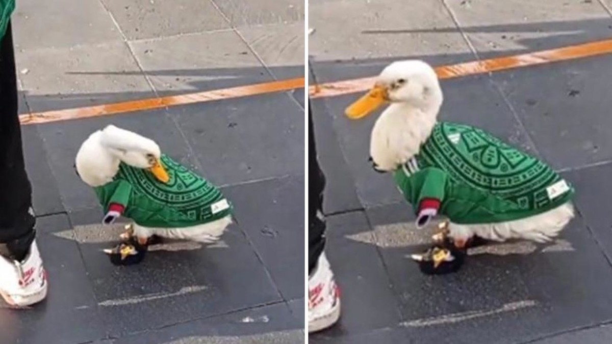 Pato Selección