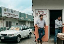 El bache de corrupción en Sesver rebasa al gobierno de Nahle