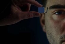 ¿Dónde y cómo se graban nuestros recuerdos en el cerebro?