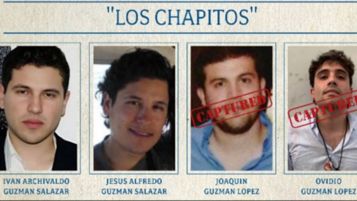 Chapitos