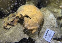 Descubren a una joven de la época prehispánica en el fondo de un cenote