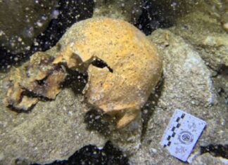 Descubren a una joven de la época prehispánica en el fondo de un cenote