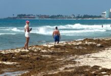 Sargazo invade el Caribe mexicano y golpea al turismo
