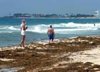 Sargazo invade el Caribe mexicano y golpea al turismo