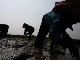 Fenómeno de El Niño afectaría al empleo formal y reducir los ingresos en Latinoamérica