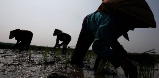 Fenómeno de El Niño afectaría al empleo formal y reducir los ingresos en Latinoamérica
