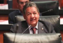 Higinio Martínez dirigirá el Senado