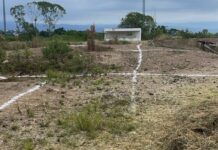 ¿Mutilan a Naturalia? Detectan trabajos topográficos en el pulmón de Xalapa