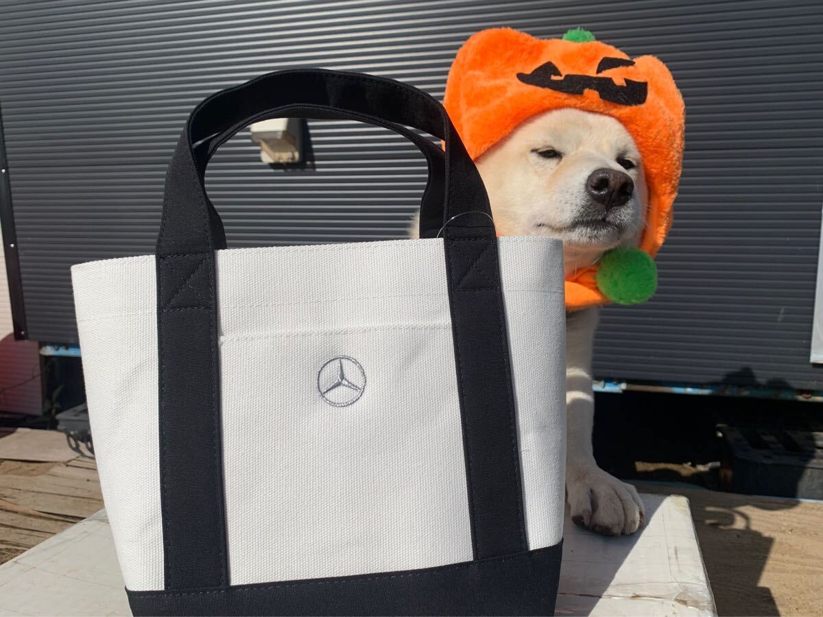 Perro ventas