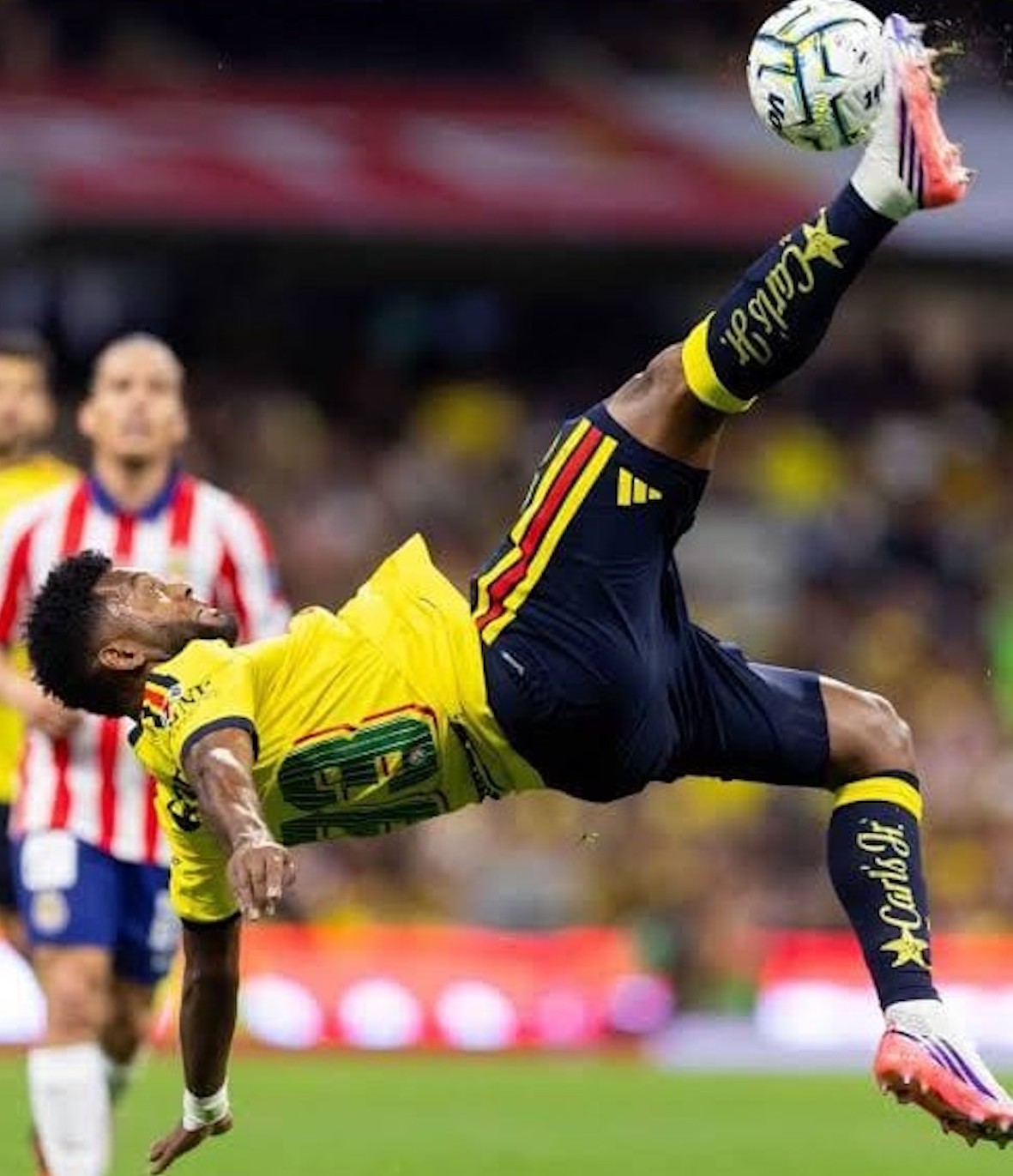 Borja América