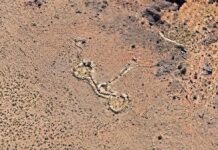 Hallazgo en Google Maps provoca la ‘fiebre’ por una estructura inédita