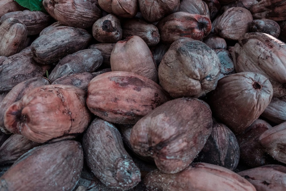 Nueces