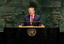 “México es el epicentro de los cárteles”: Trump