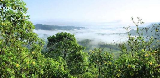 Cómo la deforestación a gran escala altera el ciclo del agua y apaga las nubes