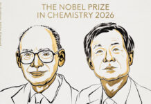 Dan Nobel de Química a dos científicos por las reacciones que conducen a la homoquiralidad