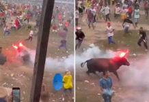 Pobladores prenden fuego a cuernos de toro en festejos