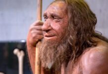 “Shanidar A”: el neandertal cuyos huesos indican que sufrió violencia pero también cuidados compasivos
