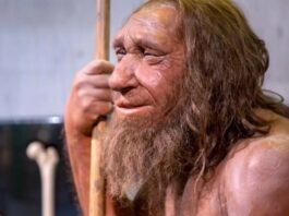 “Shanidar A”: el neandertal cuyos huesos indican que sufrió violencia pero también cuidados compasivos